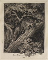KG 01076
          <br/>
          Entwurf einiger Thiere. Vierter Theil. (16 bladen)
          <br/>
          <em>Ridinger, Johann Elias (1698-1767)</em>